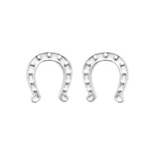 Boucles d'Oreilles Puces en