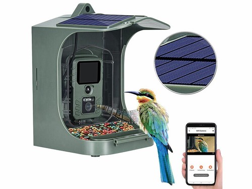 Mangeoire oiseaux avec - mangeoire,