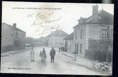 Jalons les vignes - vignes,