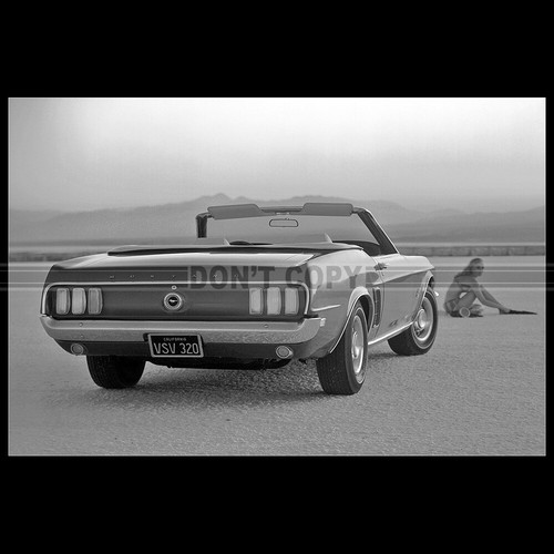 Photo 003131 ford - photo, mustang