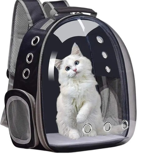 Sac dos voyage - voyage, animaux