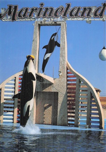 Antibes marineland - 6,