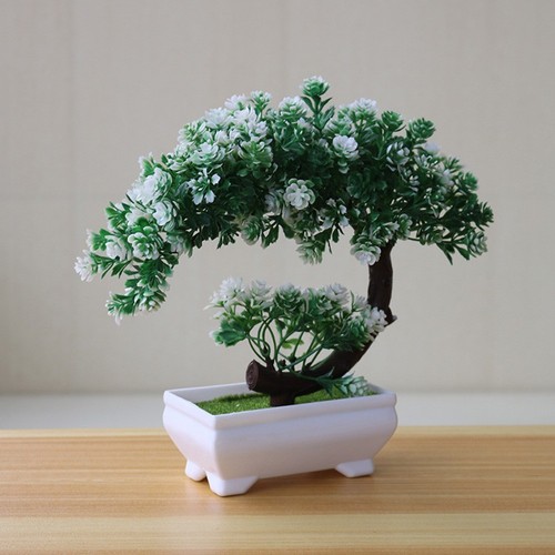 Fausse petite plante pot - plante,