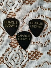 Vintage Charlie Ludwig Guitar
