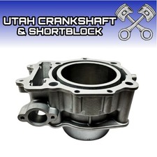 Cylindre Arctic Cat 1000 ATV 13-19 Wildcat X SE TRV Prowler XT 0804-061 4A3D2