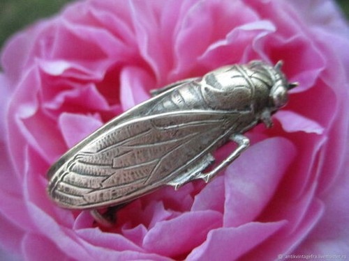 Broche cigale ancienne métal