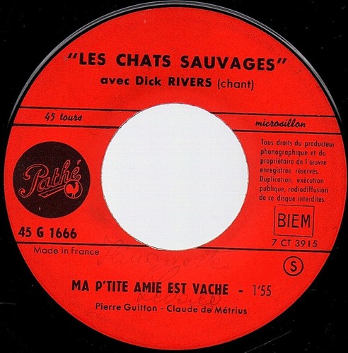 Les chats sauvages - les,