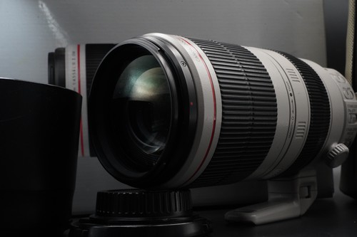 Canon 100 400mm 5 6 - canon, 100-400mm