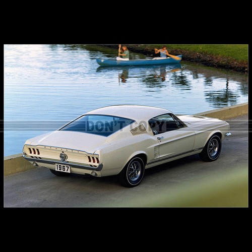 Photo 004013 ford mustang gt - mustang,