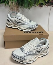 mizuno wave prophecy