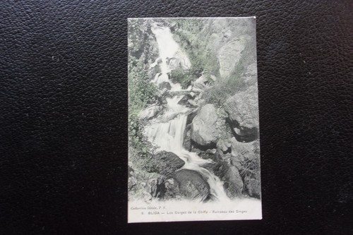 Algerie carte postale blida - -,