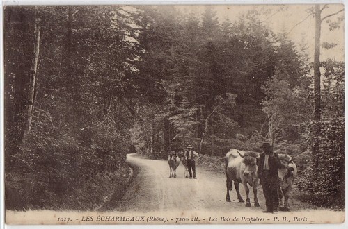 Cpa les echarmeaux le - les,