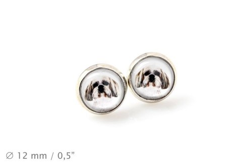 Shih tzu animaux domestiques - shih,