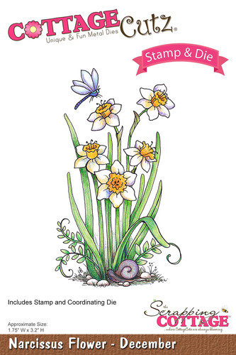 Fustelles big shot - big, sizzix