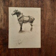 Dessin Ancien Animalier Fond