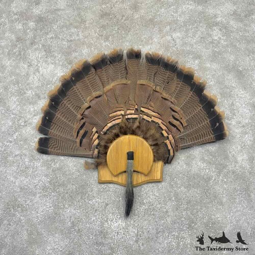 32208 eastern wild turkey - #32208, |