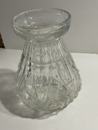 Vase bulbe jacinthe en - jacinthe,