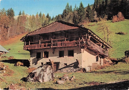 Morzine chalet - 74,
