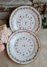 2 ANCIENNES ASSIETTES PORCELAINE NYON XVIII DECOR AUX BARBEAUX