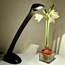 Lampe Keos Design N. Bertone Dif. par Bilumen c. 1980 1ère Édition éra Artemide