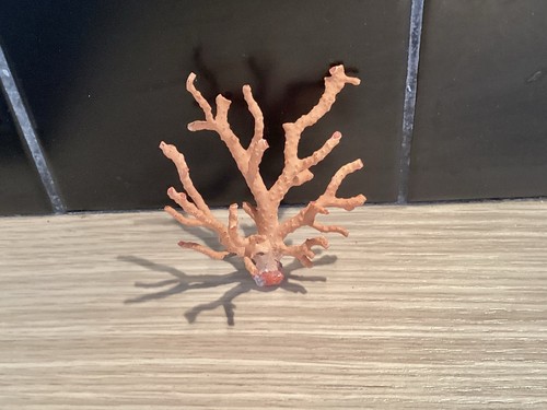 Branche corail rouge de - branche,