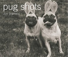 Pug Shots, Dratfield, Jim