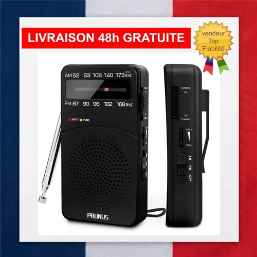 Prunus 166 radio - j-166, portable