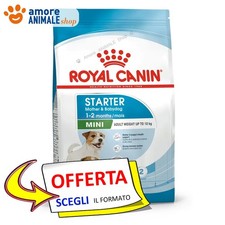 Royal Canin Chien → Mini
