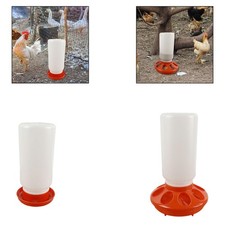 Abreuvoir pour poules et
