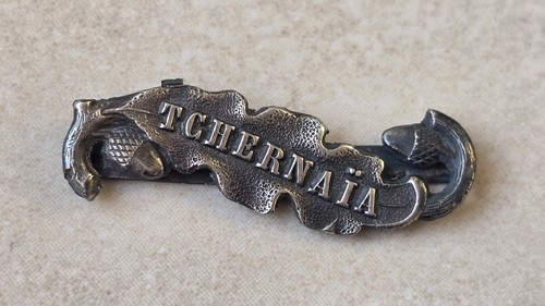 Très rare agrafe medaille - très,