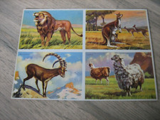 Ancienne planche images