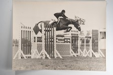 PHOTO Argentique	France	Equitation cheval saut d'obstacles		1970 30X40cm