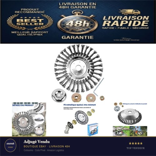 Brosse désherbage - brosse,