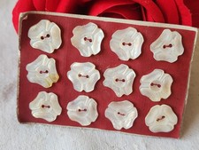 Rare petite plaque boutons anciens en nacre  1,3 cm  lot de 12 n°26