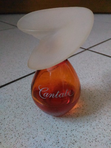 Eau toilette cantate yves - toilette,