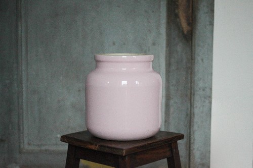 Vase rose vintage pot - vase,