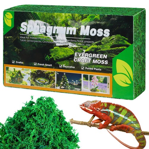 300g sphaigne pour plante - sphaigne,