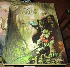 Orcs et gobelins 10 DUNNRAK