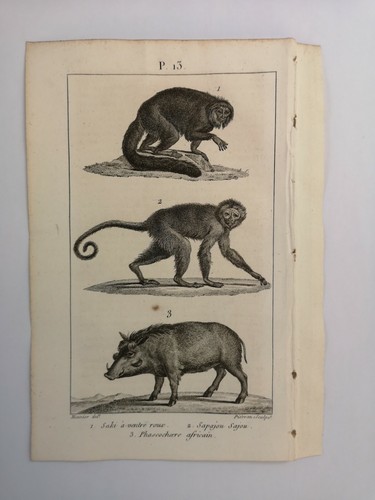 Planche gravure 1816 - /,