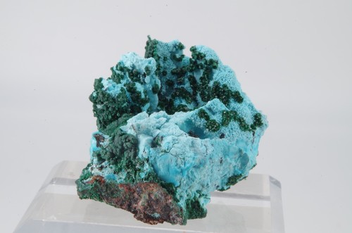 Chrysocolle malachite congo - malachite,,