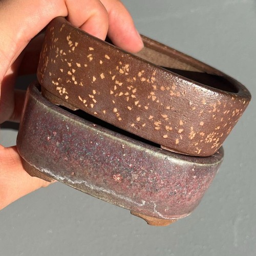 Pot bonsaï japonais heian - bonsaï,