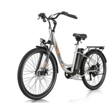 Gocio 500W Electric Bike for