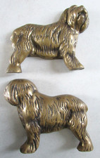 Bronze Chien Bobtail Old