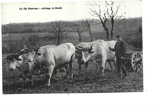 Morvan attelage de - ,
