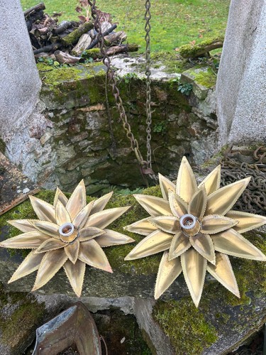 Paire appliques fleurs - , dorées