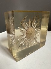 inclusion résine Signé Pierre BODIN ( Vintage , Années 70, No Giraudon)