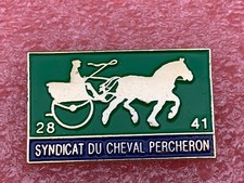 T10 Pins SYNDICAT du CHEVAL