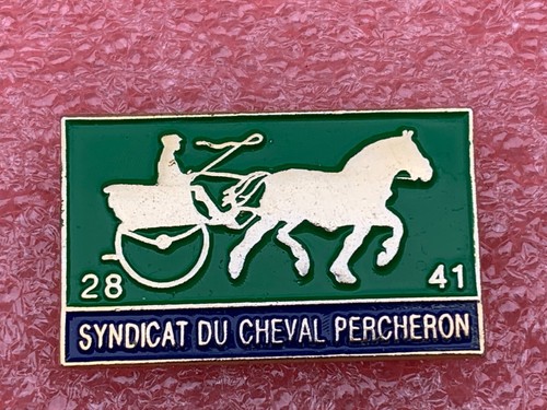 T10 pins syndicat - pins,