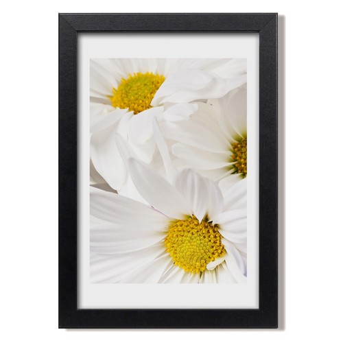 Tulup photo salon 20x30cm - photo,