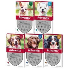 ADVANTIX¹ chien 1-60 kg